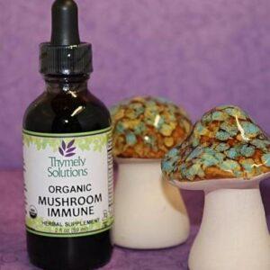 Medicinal Mushrooms for immune and respiratory health
