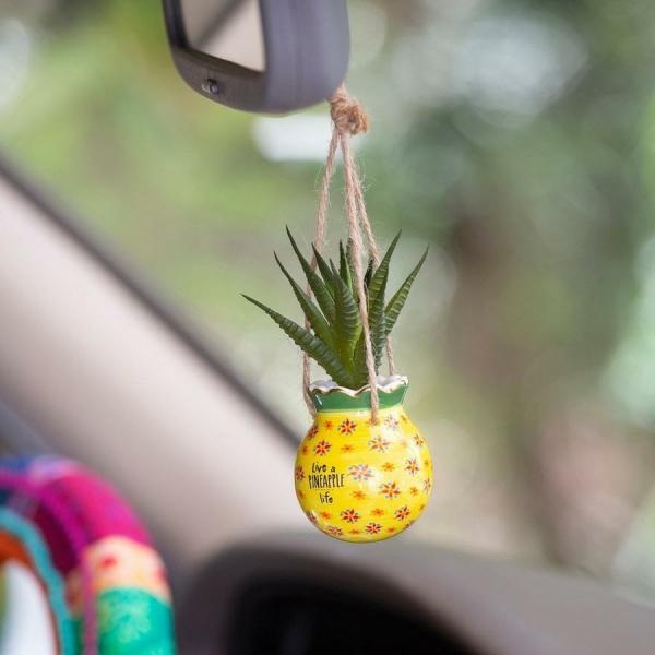 Pineapple Mini Hanging Succulent