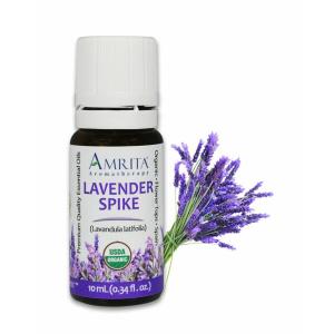 Organic Lavender Spike Spain Essential Oil
