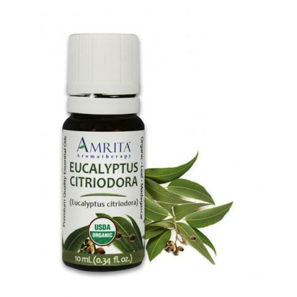 Eucalyptus Citriodora Organic Essential Oil