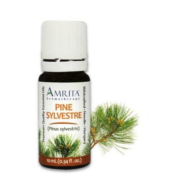 Pine Sylvestre Essential Oil 10ml