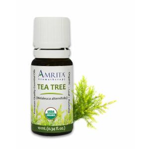Organic Tea Tree South Africa Essential Oil