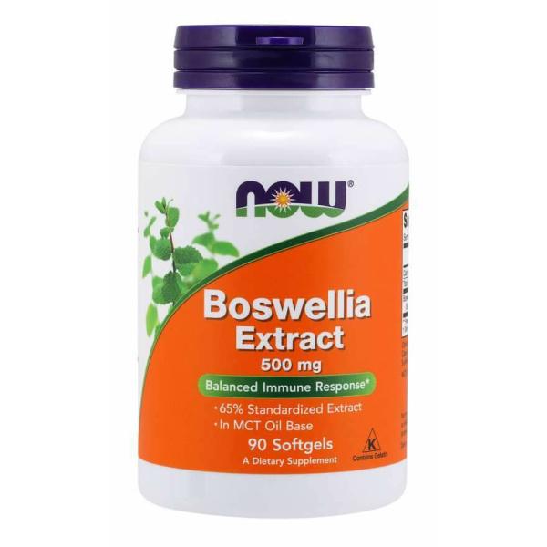 Boswellia Extract 500mg 90sg