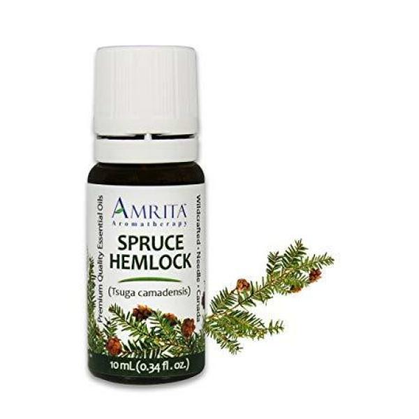 Hemlock Spruce Canada Essential Oil