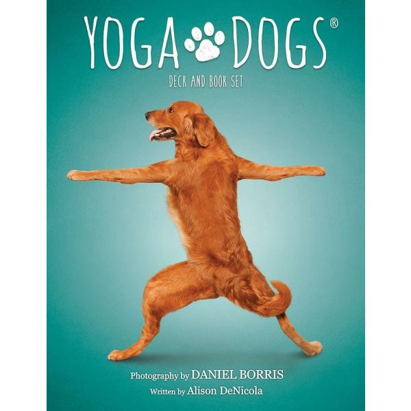 Yoga Dogs Deck & Book Set