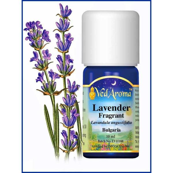Lavender Fragrant 10 ML