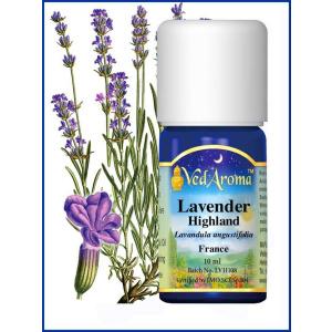 Lavender Highland 10 ML