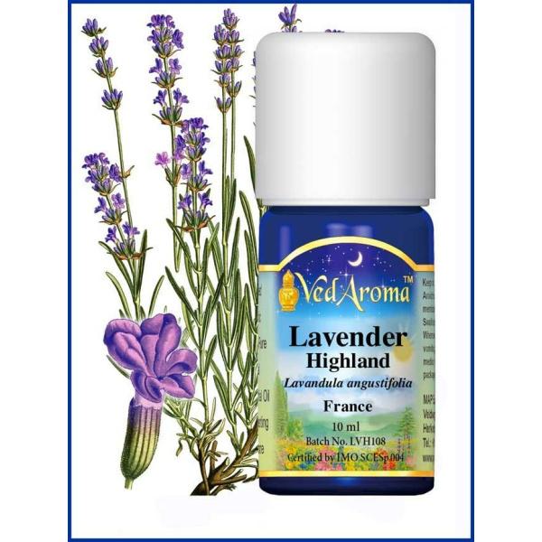 Lavender Highland 10 ML