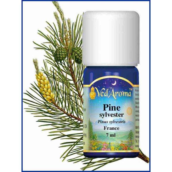 Pine Sylvester 10 ML